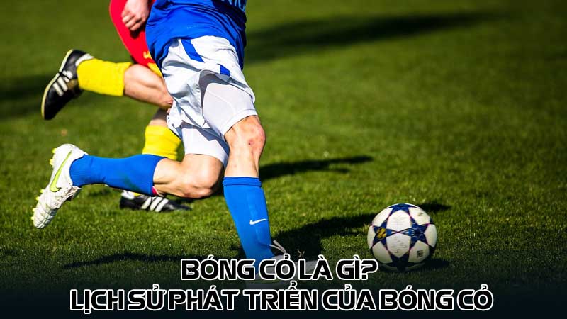 Bóng cỏ là gì? Lịch sử phát triển của bóng cỏ